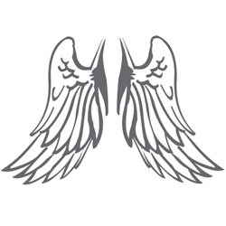 Ailes