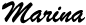 Police 1