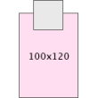 100x120