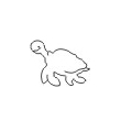 Tortue