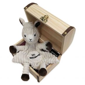 Coffret avec doudou Déglingos personnalisés