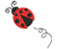 Coccinelle
