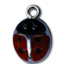 Coccinelle