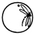 libellule