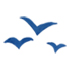 oiseaux